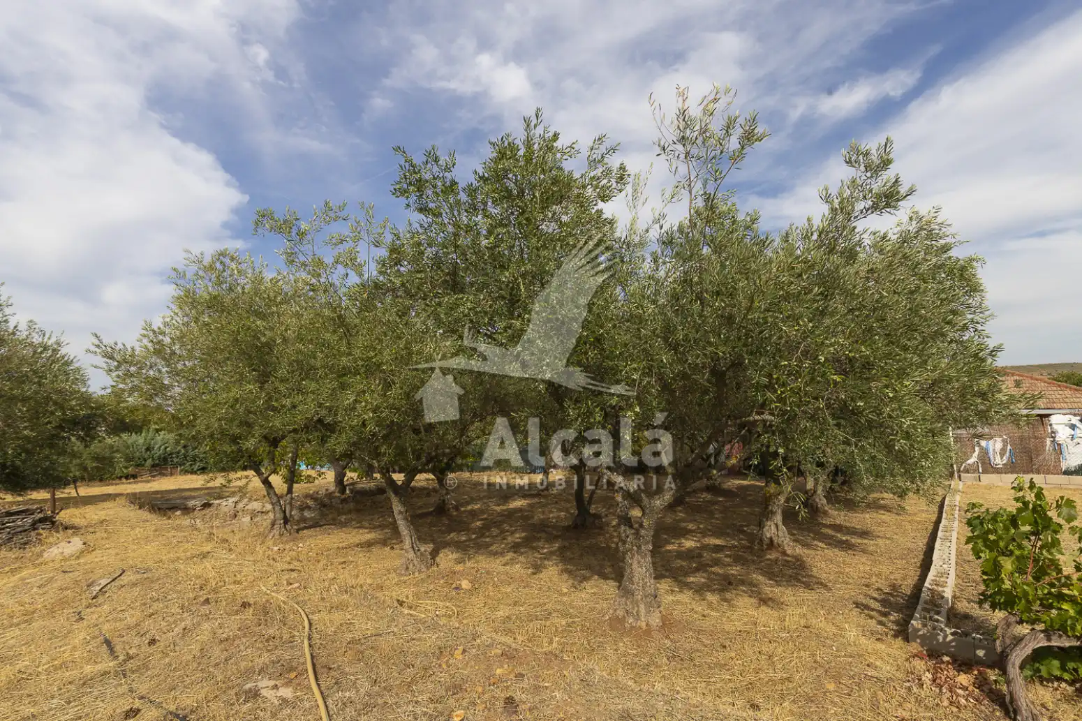 Maison à vendre à Camarma de Esteruelas, imagen 75