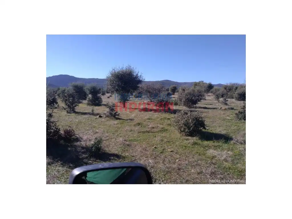Casa rústica en venda a Fresnedoso de Ibor, imagen 4