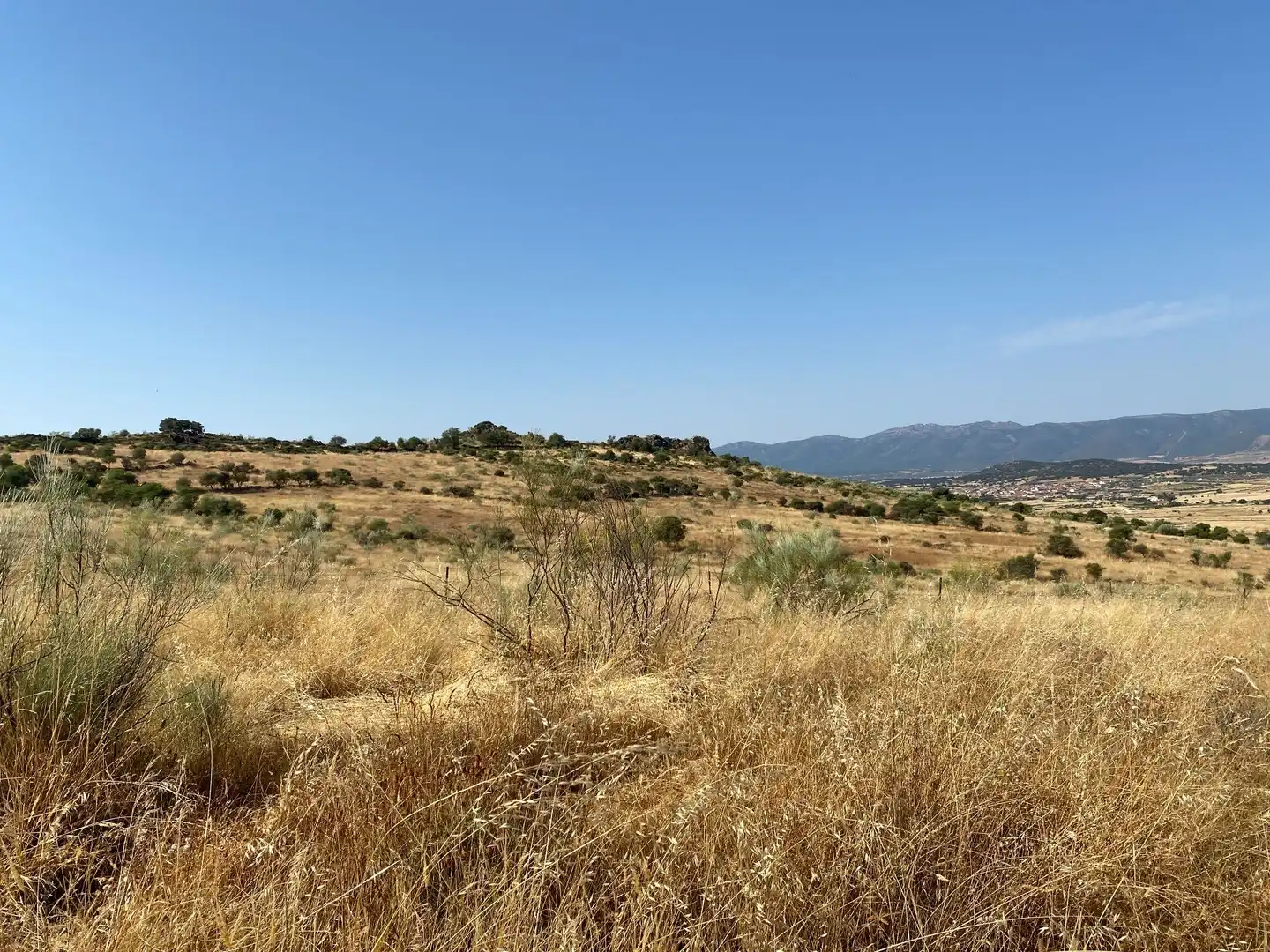 Grundstücke zum Verkauf in Aldeanueva de San Bartolomé