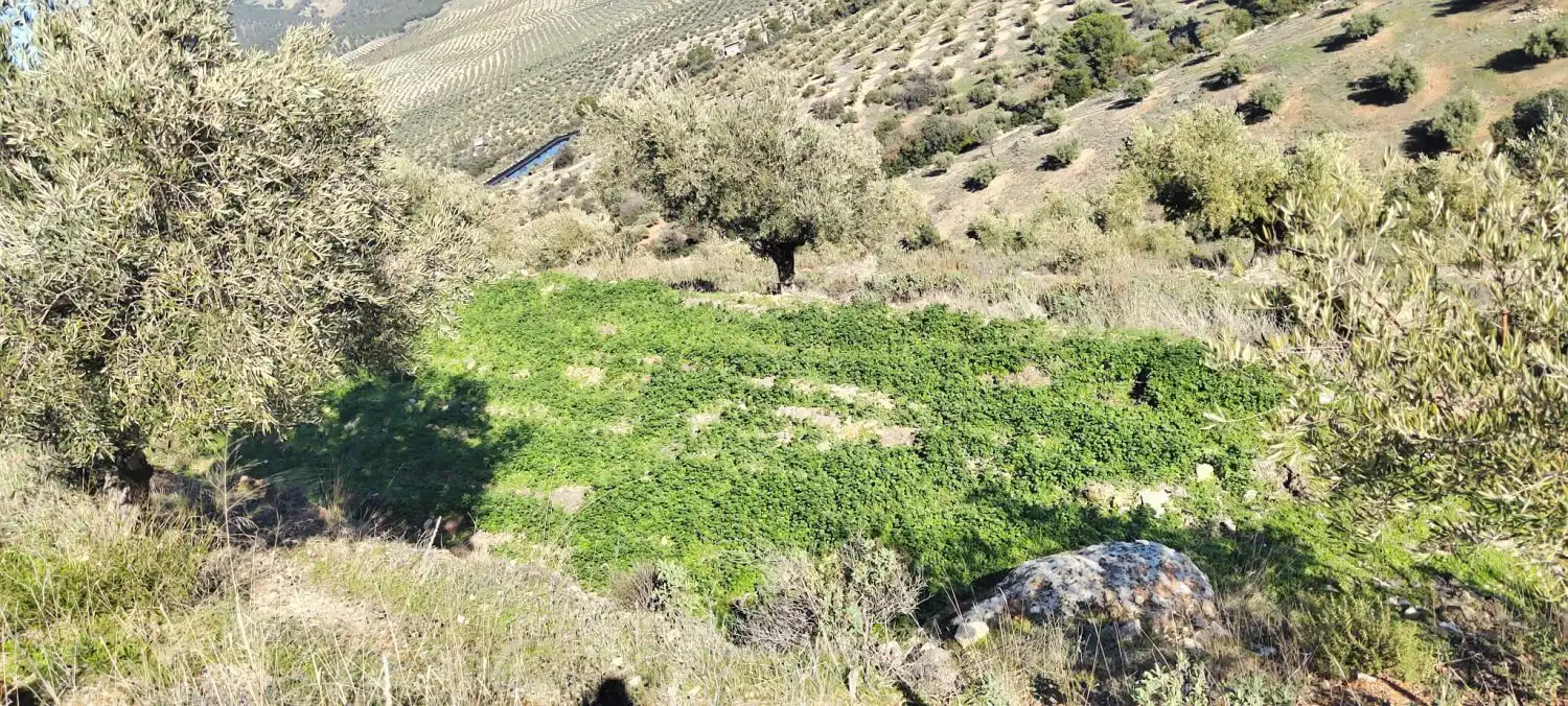 Casa rústica en venda a Puente Jontoya - Puente de la Sierra - El Arroyo, imagen 6