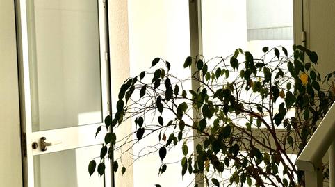 Foto 2 de Pis en venda a Calle San José, 17, Tarifa ciudad, Tarifa