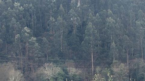 Foto 4 de Residencial en venda a Polígono Urbana (solar), Santa María del Mar - El Puerto, Castrillón