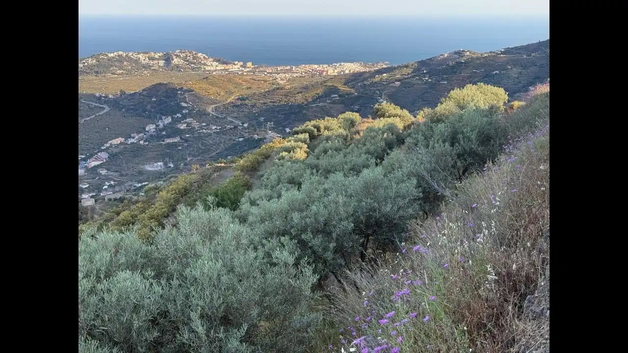 Vista exterior de Finca rústica en venda en Almuñécar amb Terrassa i Piscina