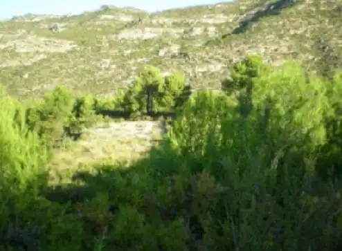 Rustikales Grundstück zum Verkauf in L'Alcora, imagen 2