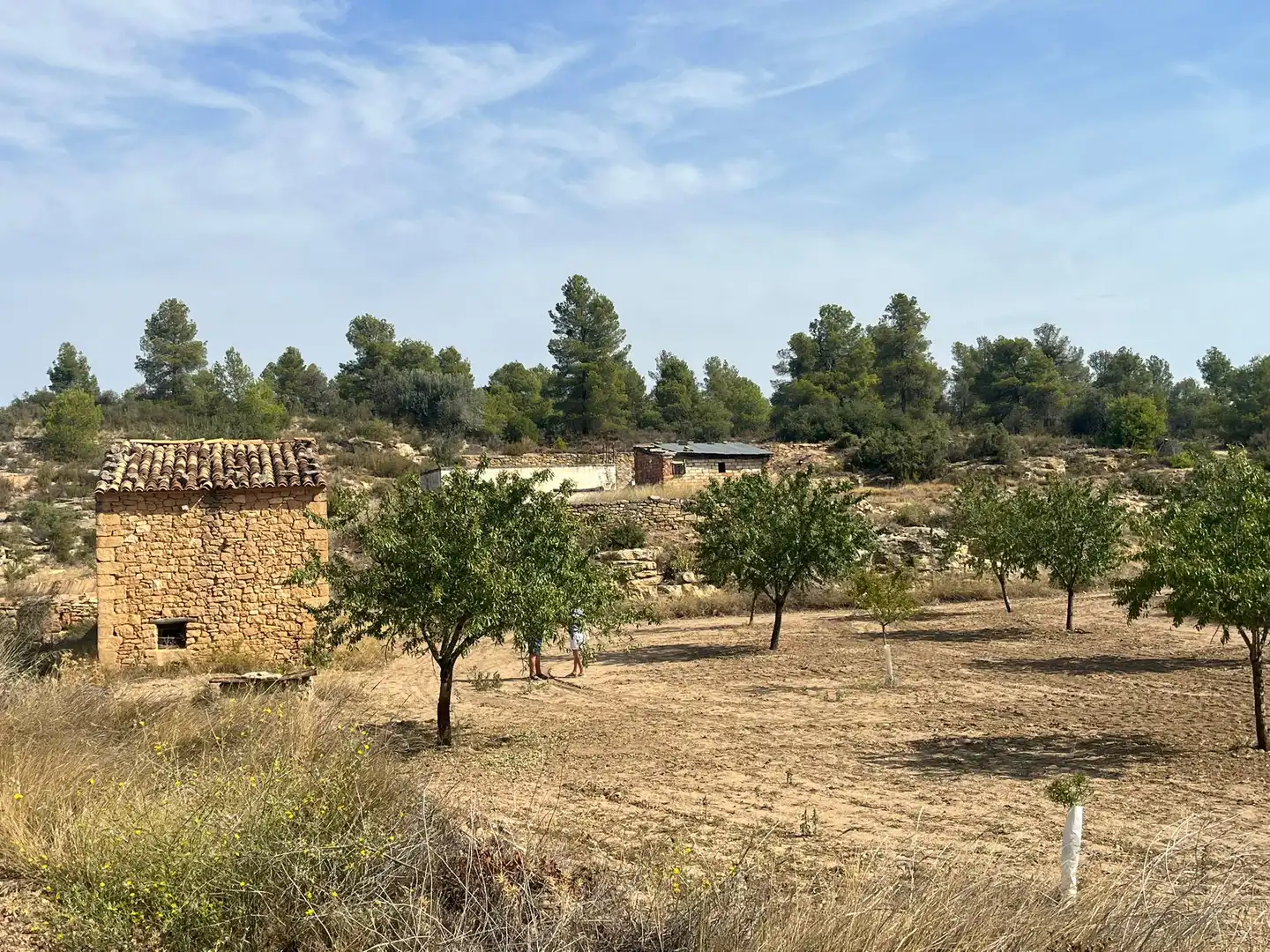 Terreno en venta en Valjunquera