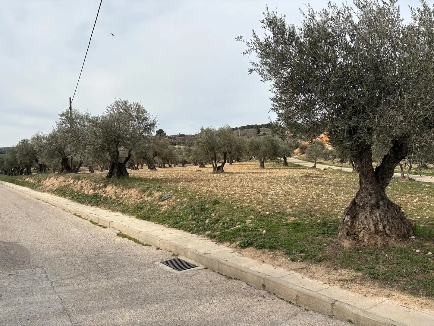 Terreno residencial en venta en Calle de Don Juan Carlos I 12, imagen 3