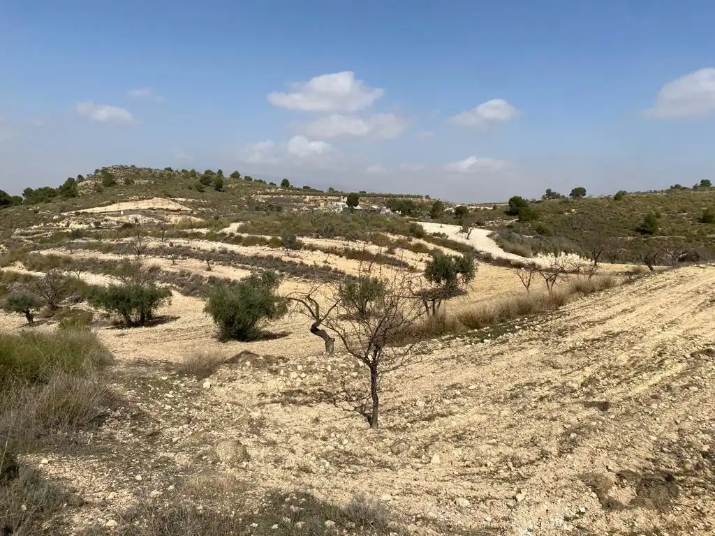Finca rústica en venta en Jumilla con Jardín privado y Trastero