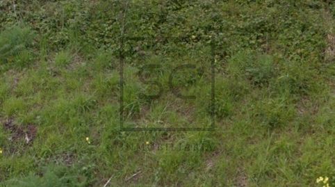 Finca urbana en Canido, Ferrol