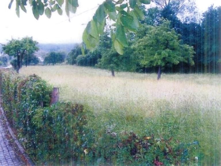 Residential for sale in Valle de Mena