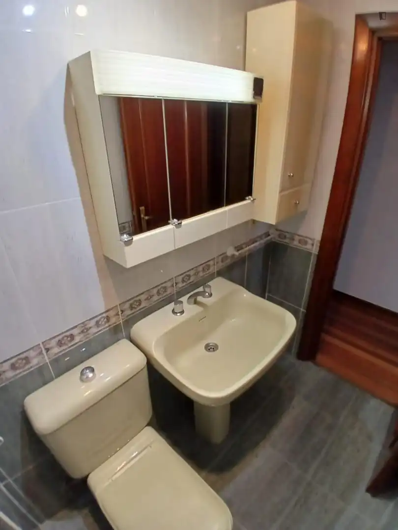 Bathroom of Apartments for share in Valladolid  with Furnished, Oven and Washing machine