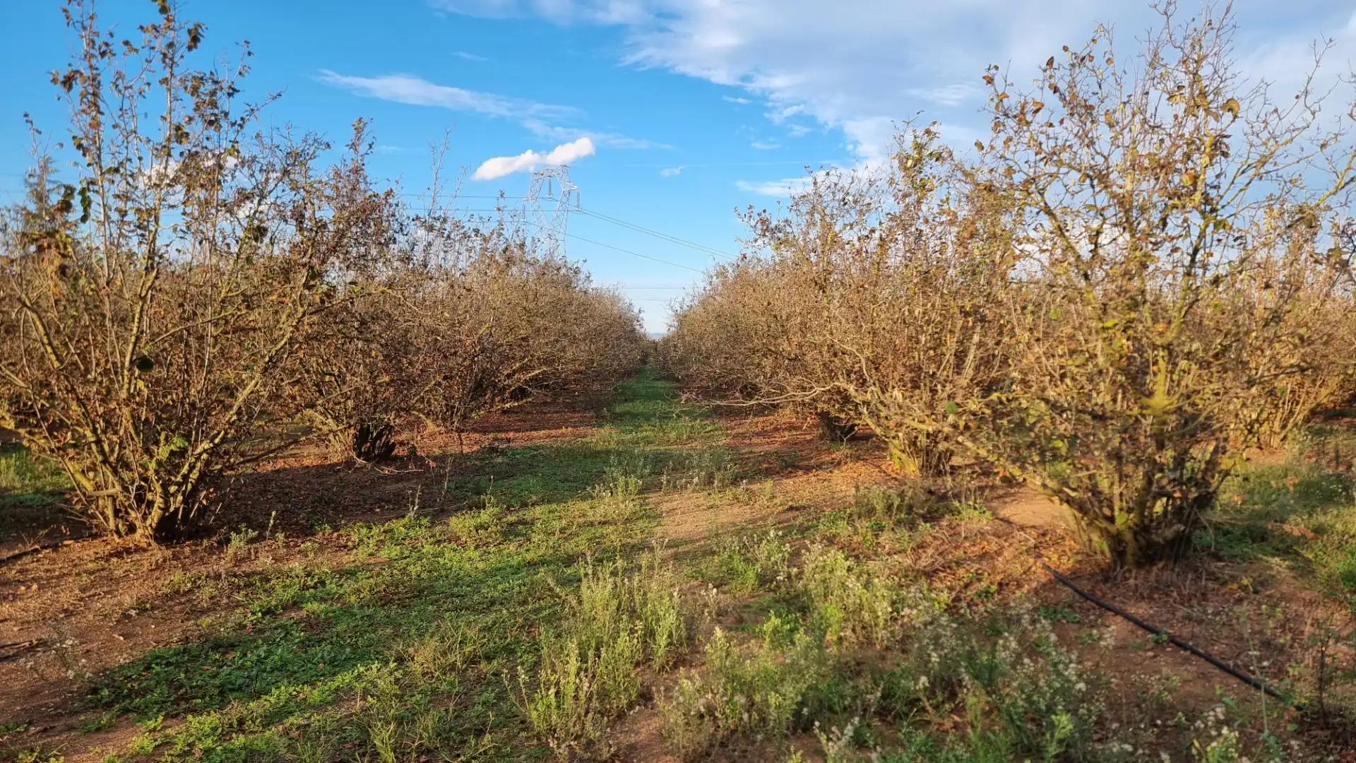 Terreno en venta en Vilallonga del Camp