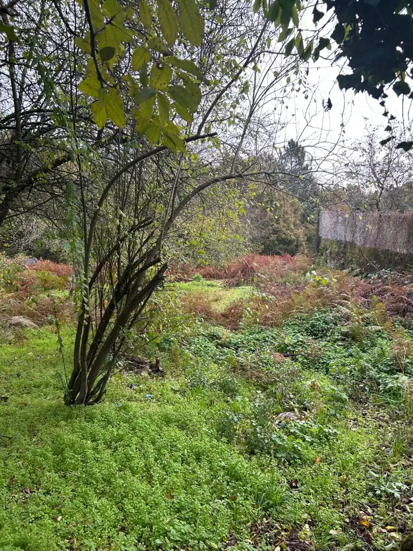 Country homes for sale in San Amaro, Ourense