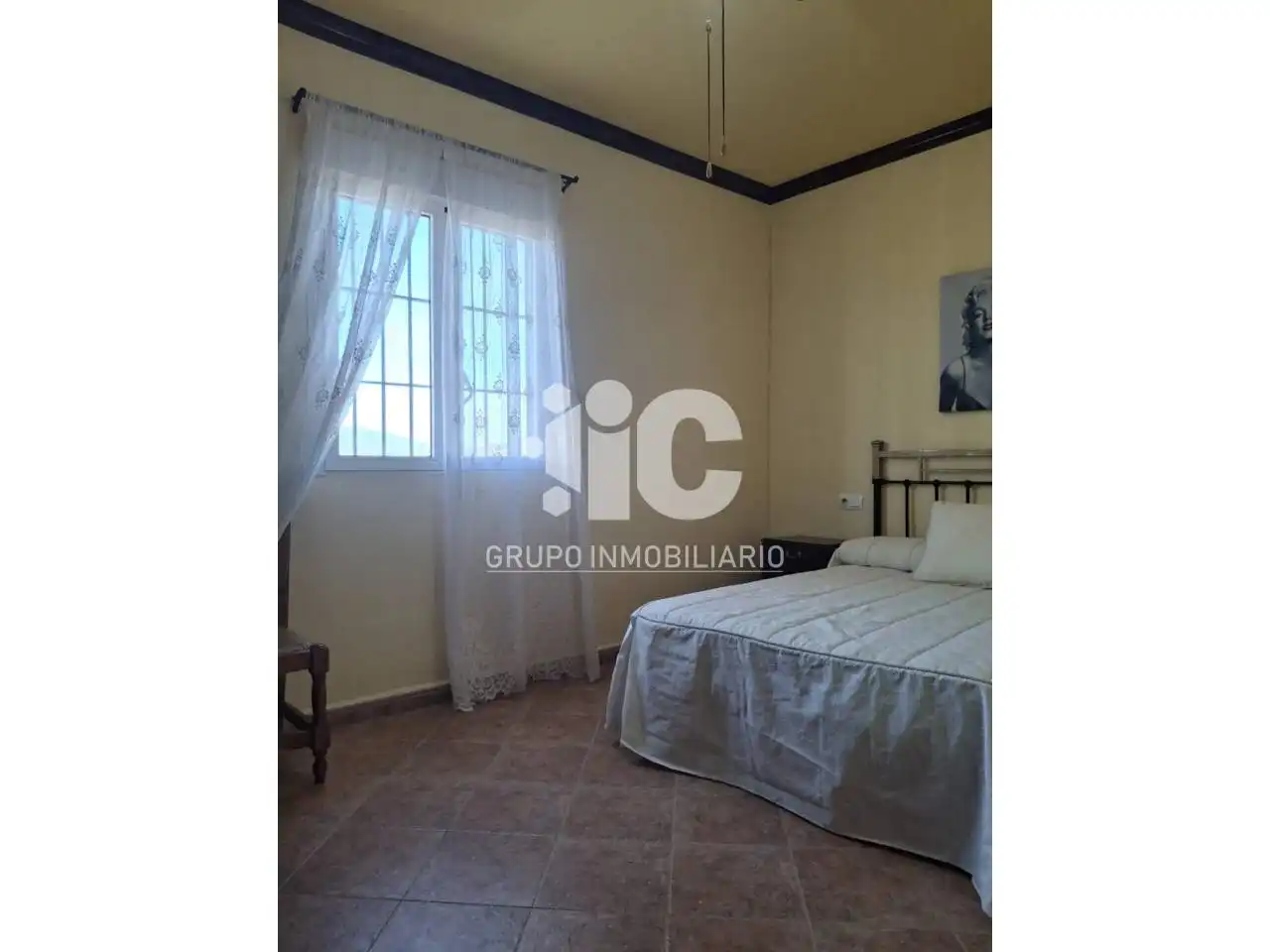 Rural land for sale in Nueva Carteya, imagen 8