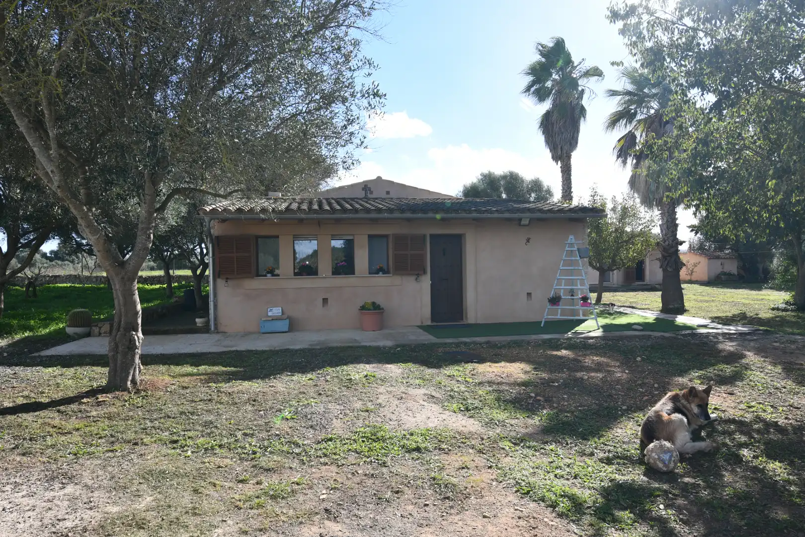 Casa rústica en venda a Felanitx Poble, imagen 11