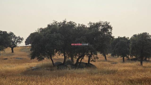 Finca rústica en Venta en Torrecampo