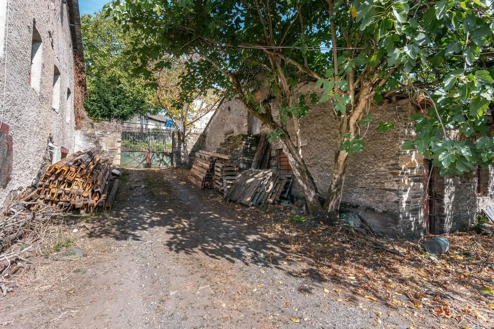 Vista exterior de Casa o chalet en venta en Palacios del Sil con Jardín privado