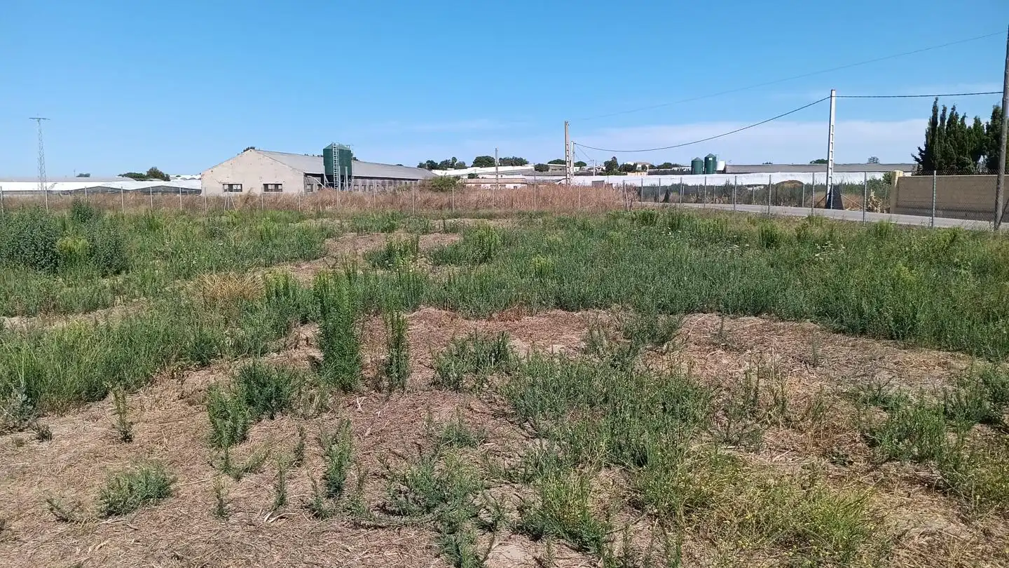 Terreni e lotti in vendita a Los Llanos, imagen 9