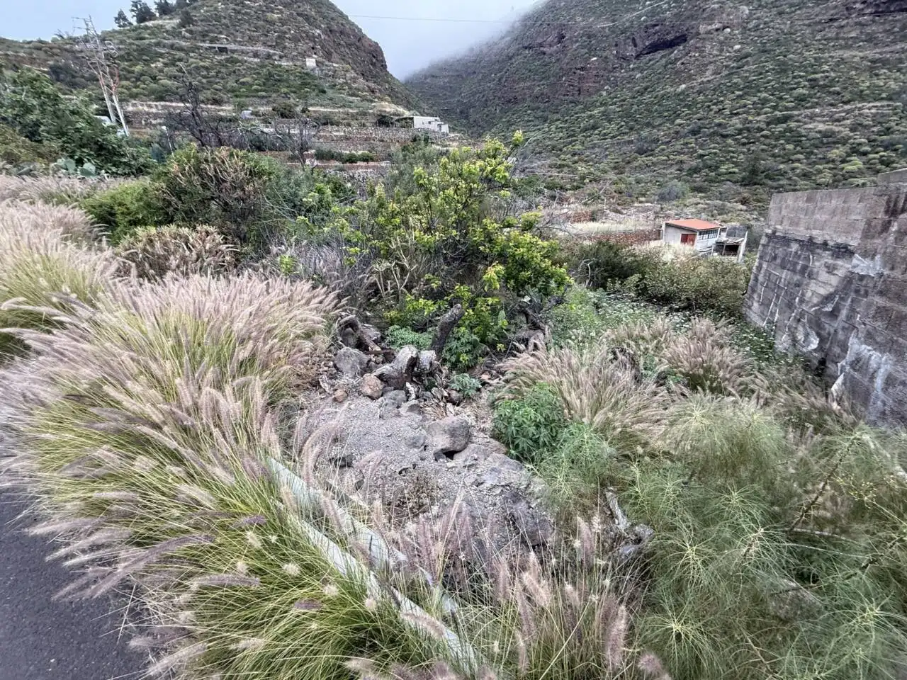 Residential land for sale in Calle Morrita, imagen 6