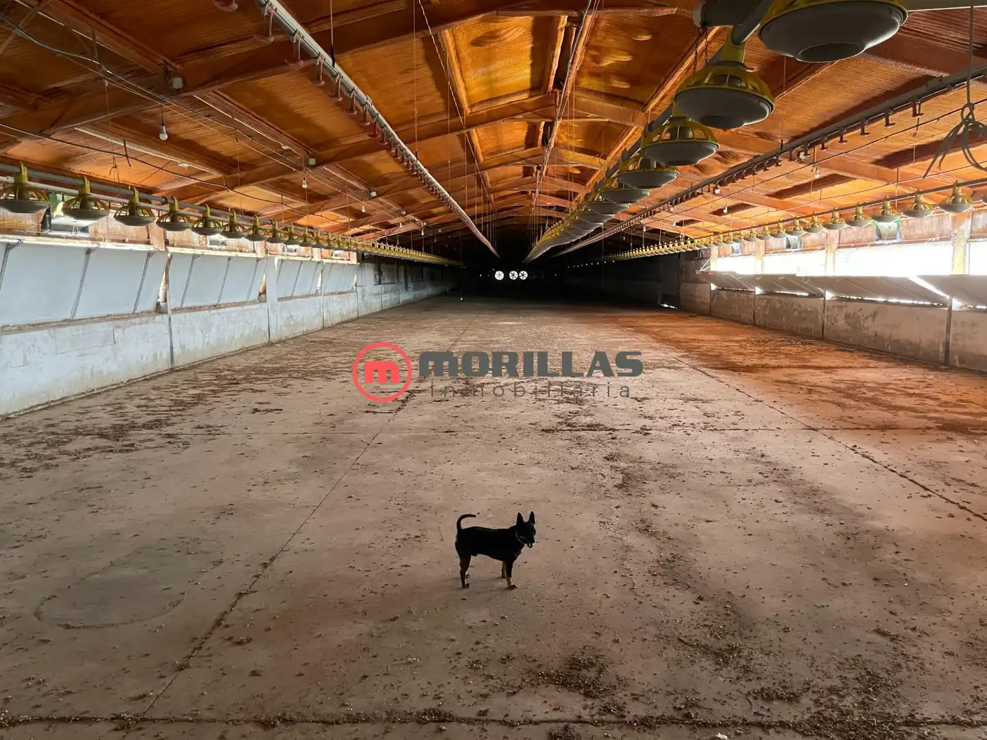 Chalet con jardín en venta en Bullas, imagen 31