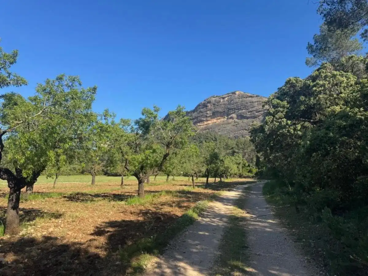 Rural land for sale in Horta de Sant Joan, imagen 7