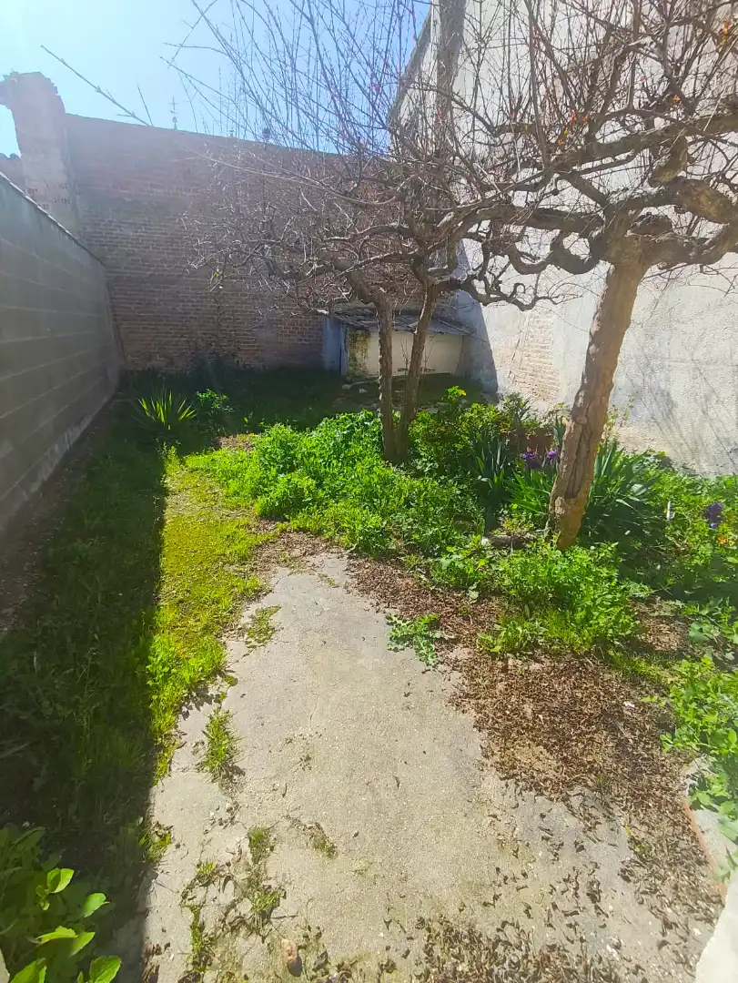 Jardín de Casa adosada en venta en Casarrubios del Monte con Calefacción, Jardín privado y Terraza