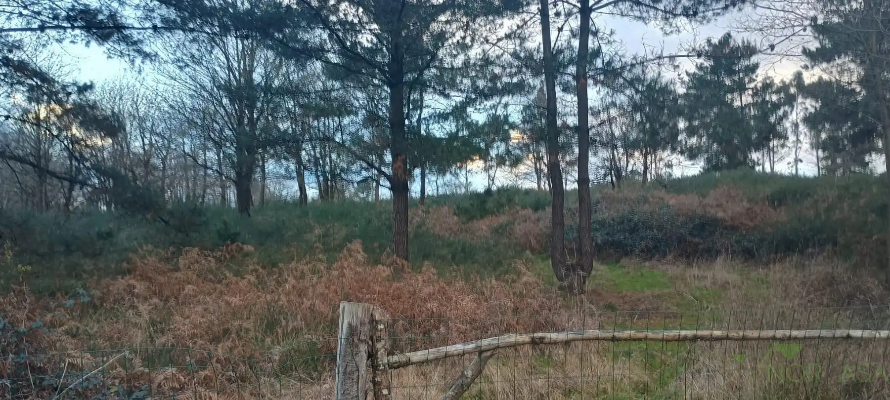 Terrenys i solars en venda a Posada de Llanera, imagen 8