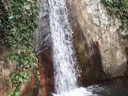 Vista exterior de Finca rústica en venta en Algeciras con Jardín privado
