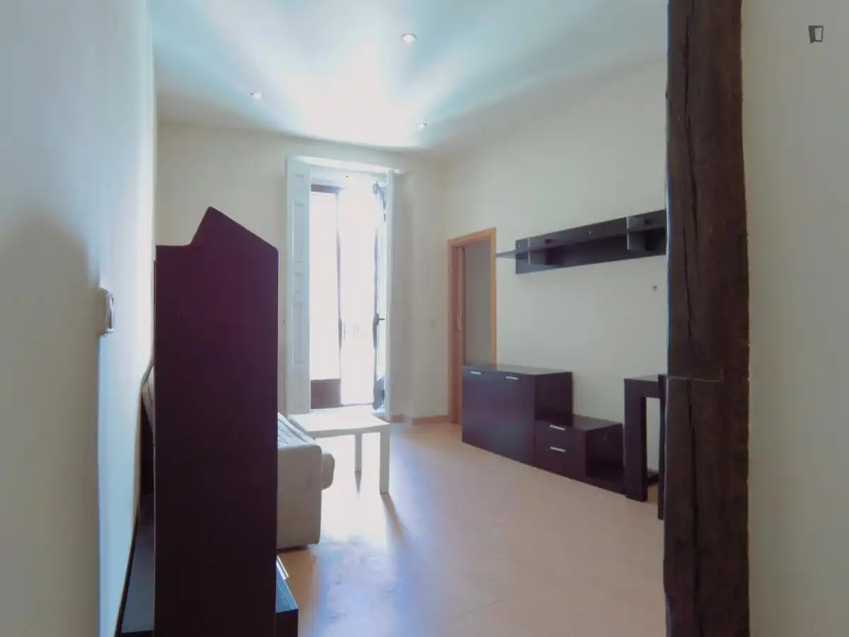 Apartamento en alquiler en Centro, imagen 8