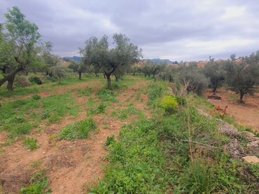 Rustikales Grundstück zum Verkauf in El Pinell de Brai