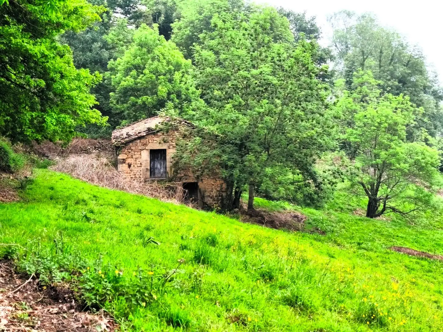 Casa o chalet en venta en Villacarriedo con Jardín privado
