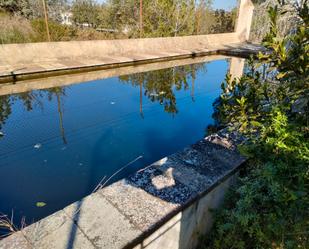 Piscina de Casa o xalet en venda en Turís amb Jardí privat, Terrassa i Piscina