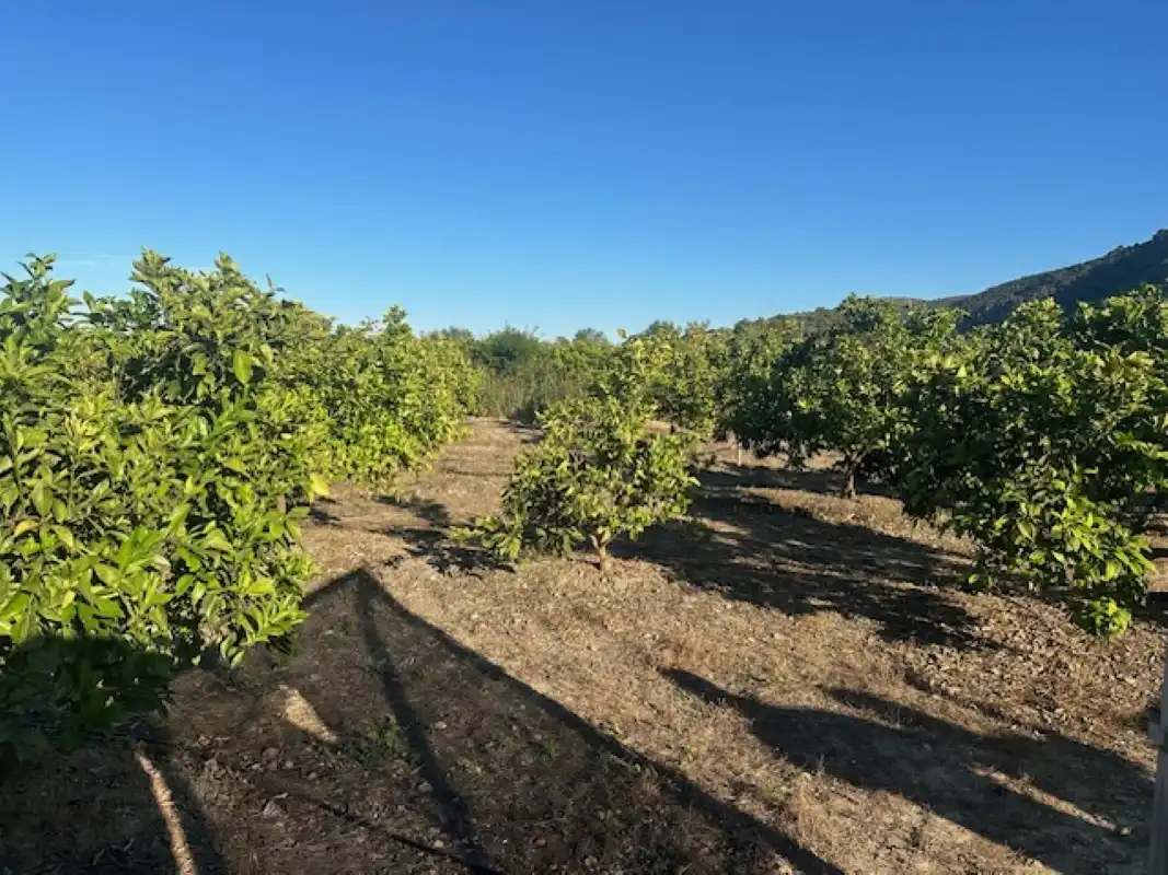 Terreno en venta en Xeresa