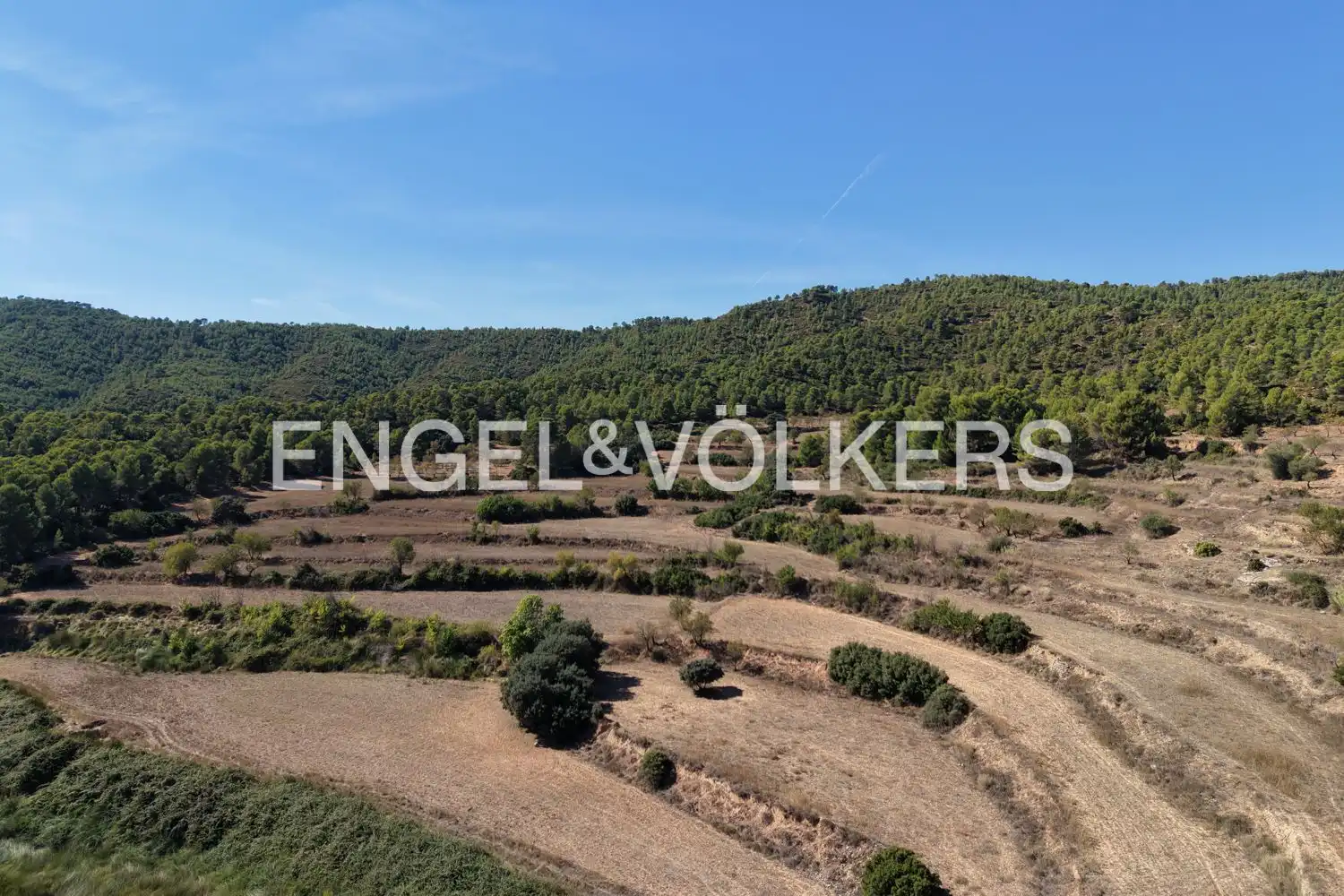 Terrain rustique à vendre à Requena, imagen 38