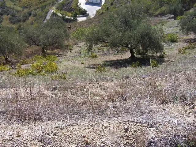 Terreni e lotti in vendita a Árchez, imagen 3