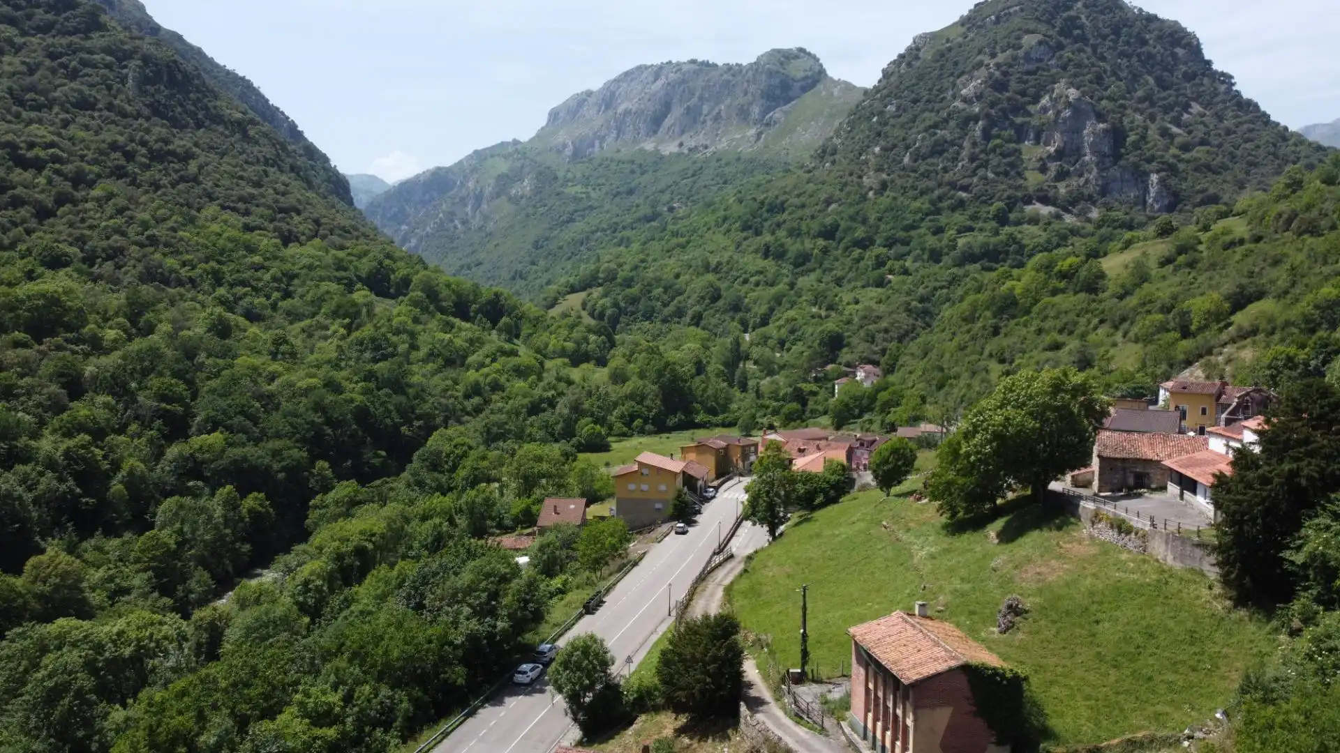 Vista exterior de Terreno en venta en Peñamellera Alta