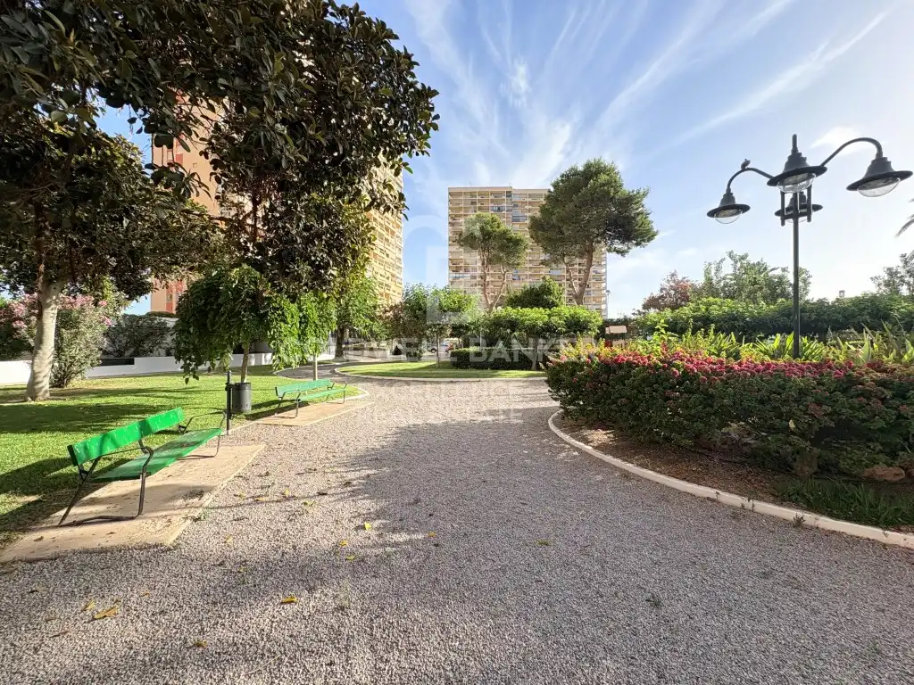 Vista exterior de Planta baja en venta en El Puig de Santa Maria con Jardín privado, Piscina y Horno