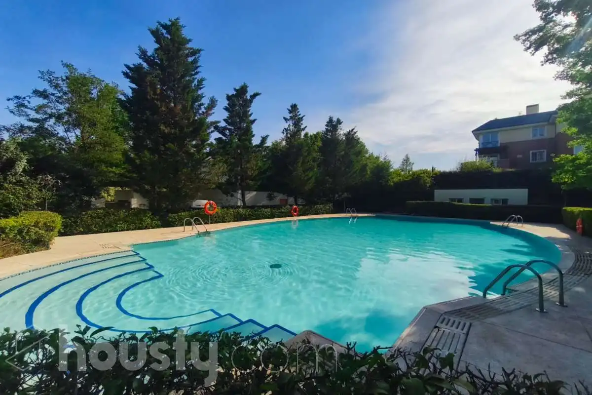 Piscina de Piso de alquiler en Madrid con Aire acondicionado, Calefacción y Terraza