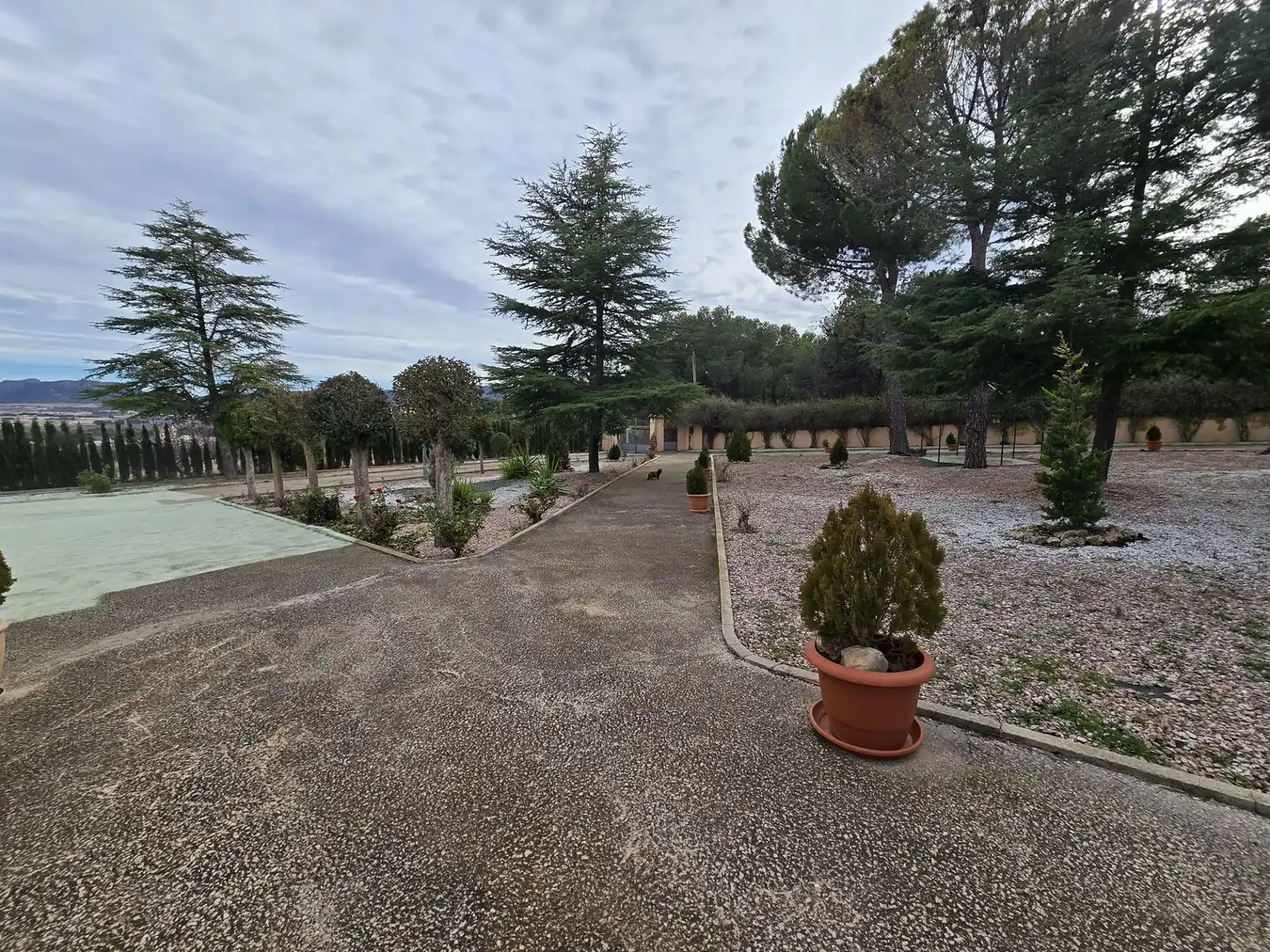 Jardín de Finca rústica en venta en Salinas con Aire acondicionado, Calefacción y Terraza