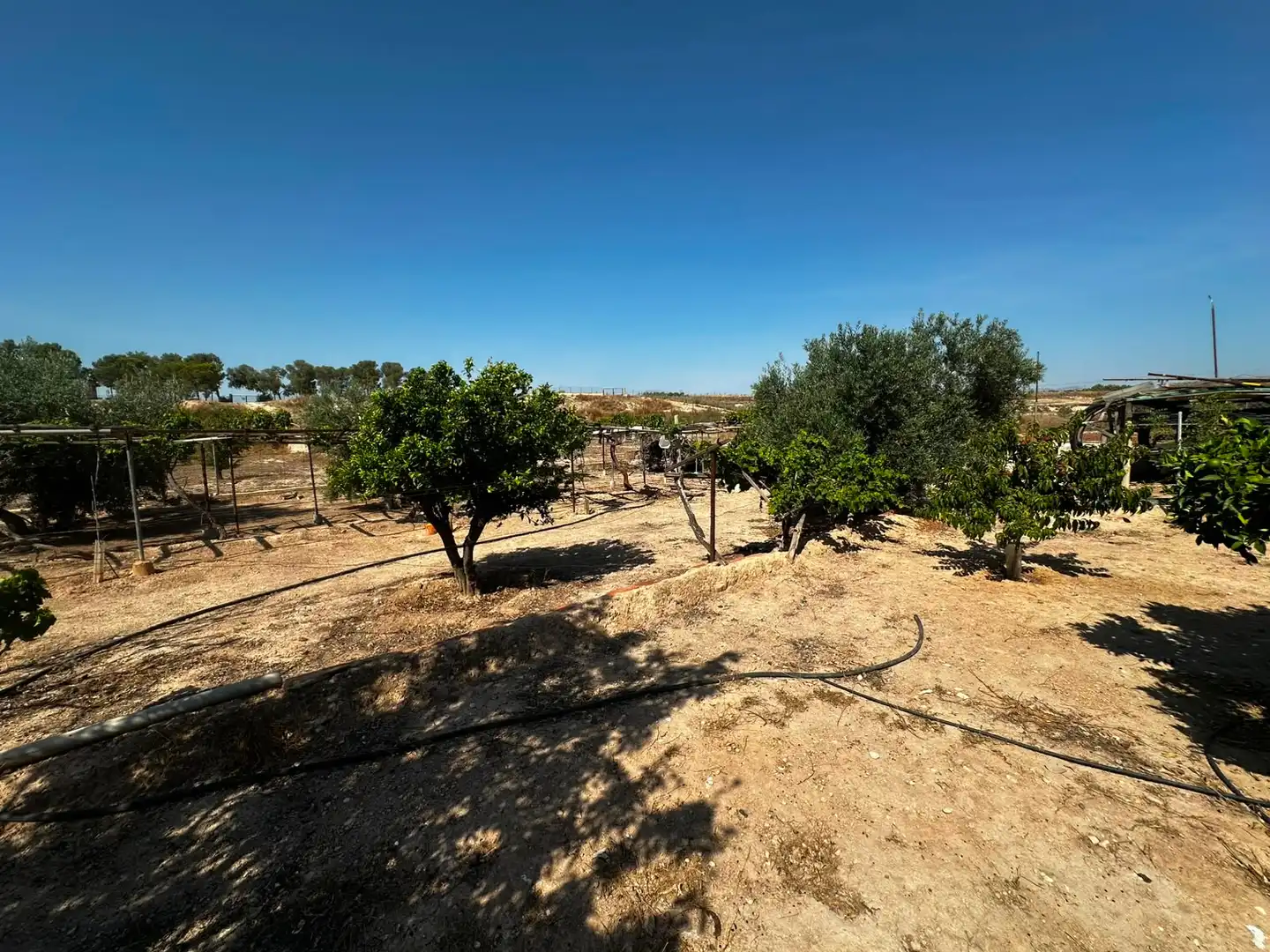 Terreno rústico en venta en Villamontes - Boqueres, imagen 13