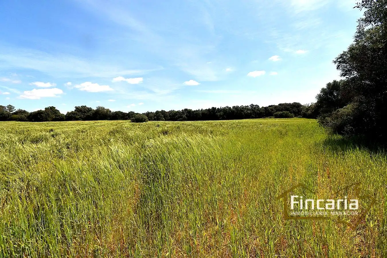 Lands and plots for sale in Ma-5120, imagen 12