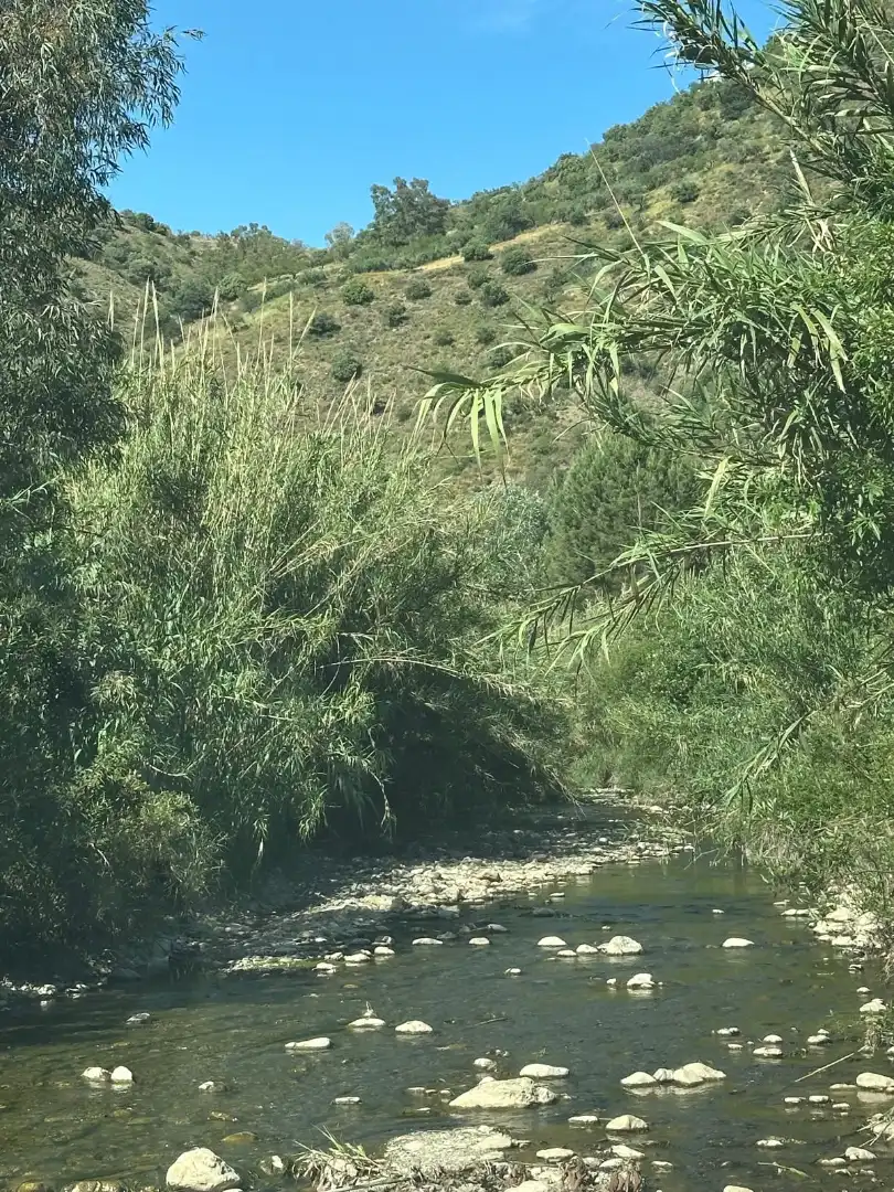 Terreni e lotti in vendita a Riogordo, imagen 8