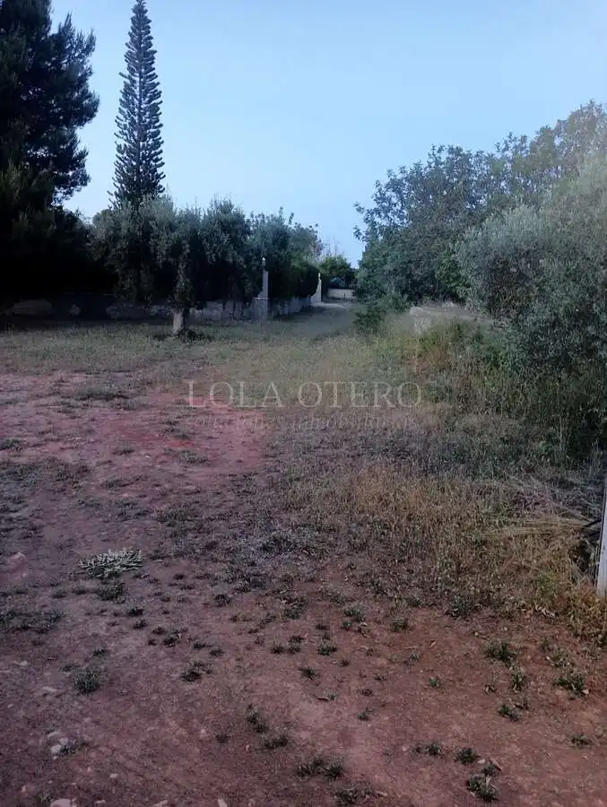 Villa à vendre à Centro, imagen 18