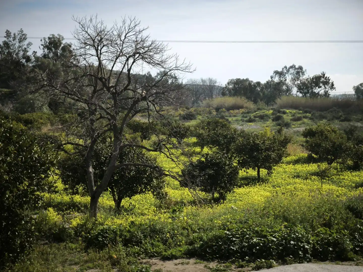 Lands and plots for sale in Gádor, imagen 30