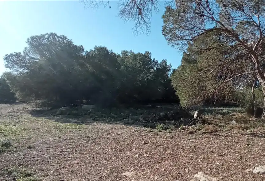 Terreno rústico en venta en LO MESEGUER. LOS MONTESINOS, POL 1, imagen 8