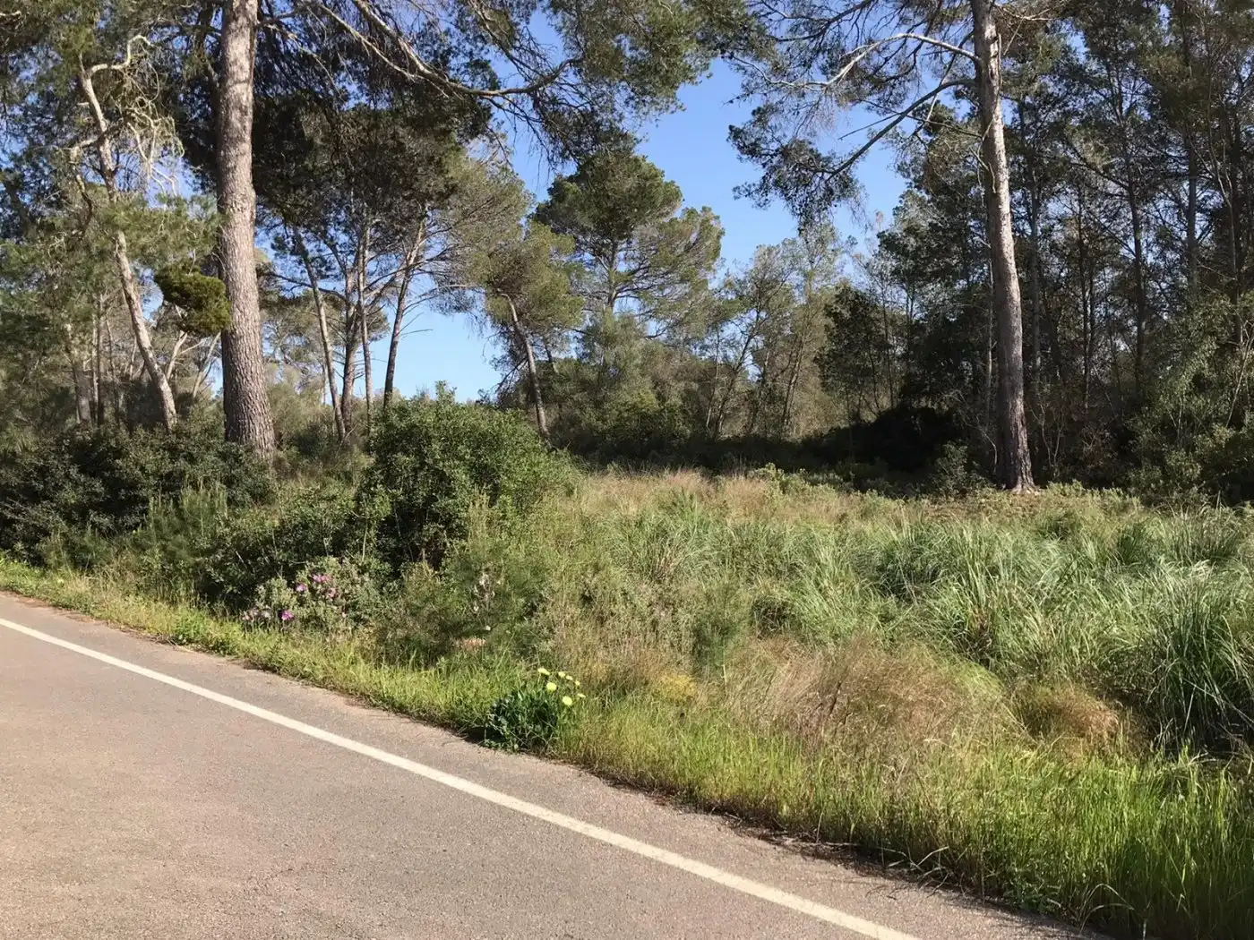 Terrenys i solars en venda a Algaida, imagen 18