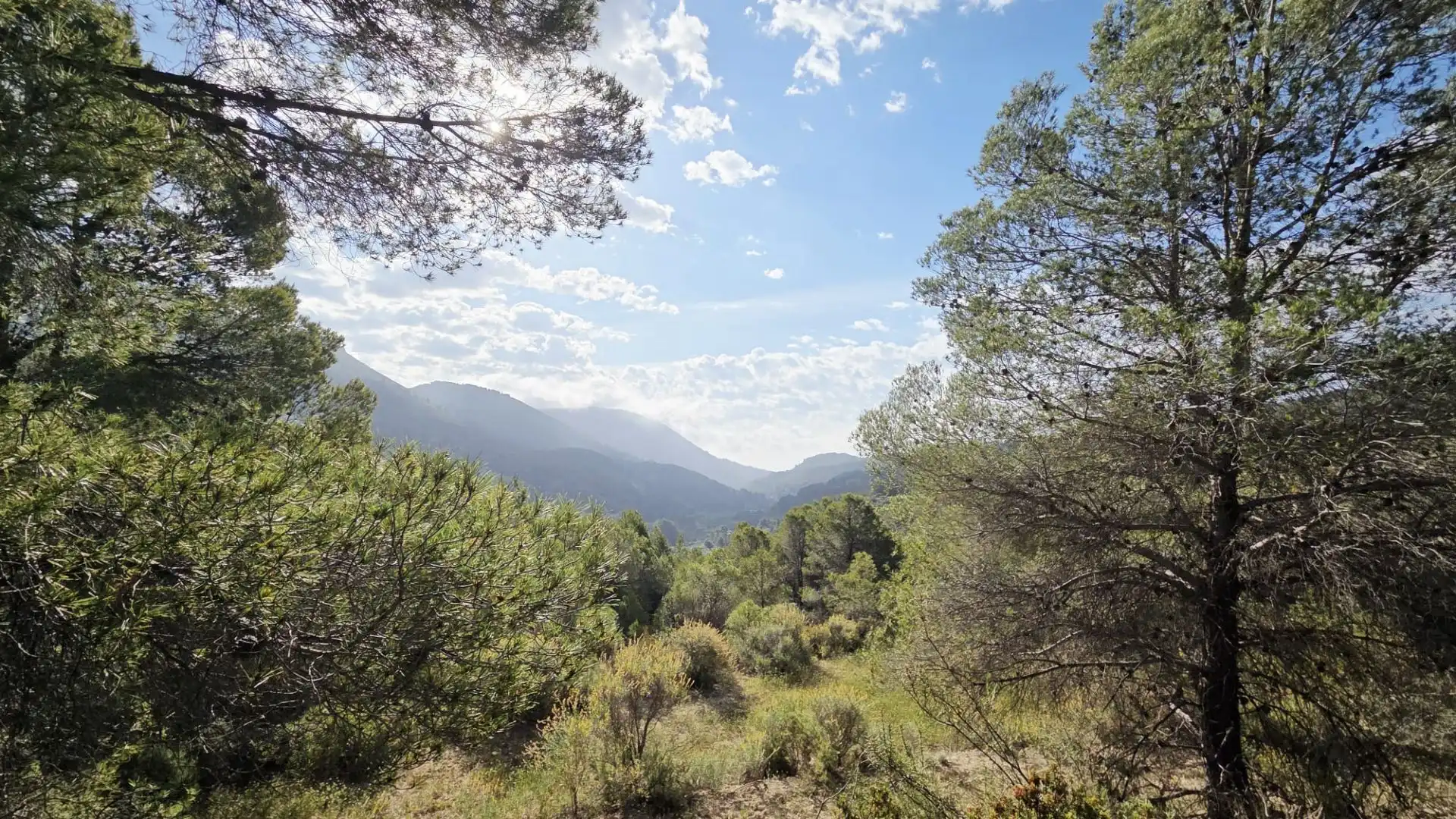 Grundstücke und Bauplätze zum Verkauf in El Castell de Guadalest, imagen 10