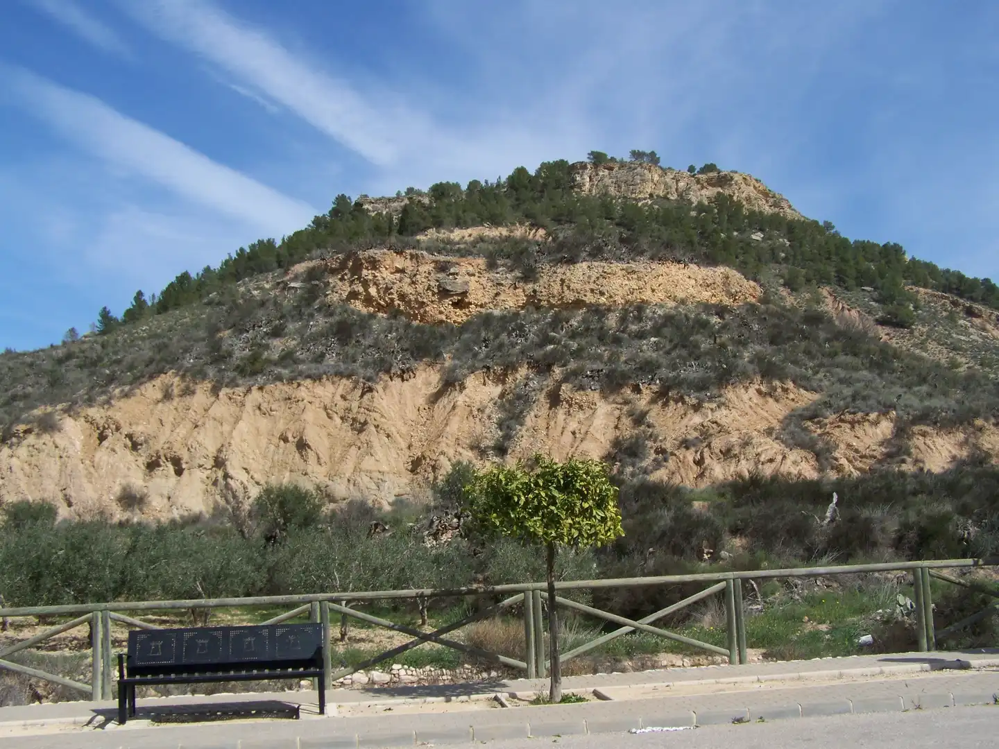 Land for sale in Pliego