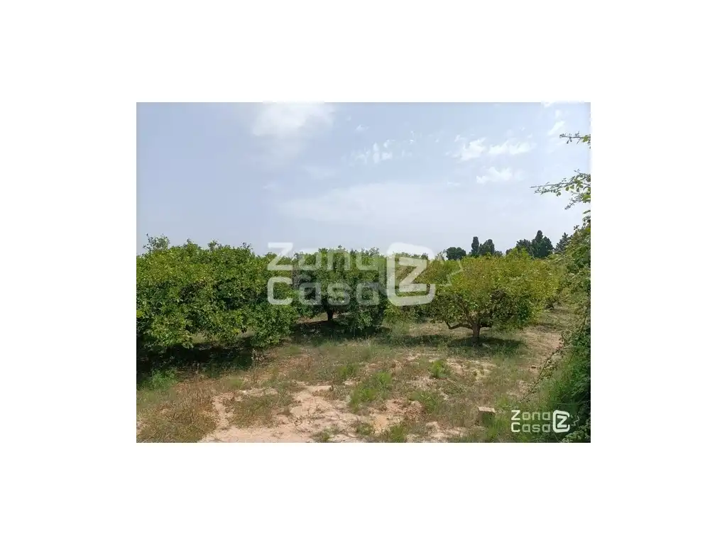 Casa rustica in vendita a POL.43 PARC., imagen 3