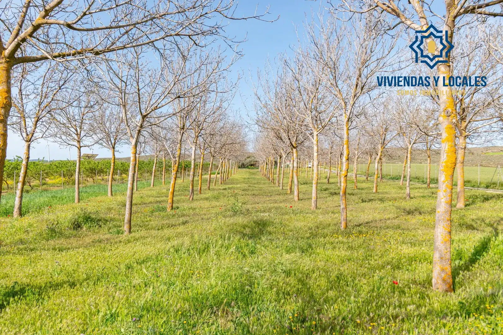 Terreni e lotti in vendita a Padul, imagen 14