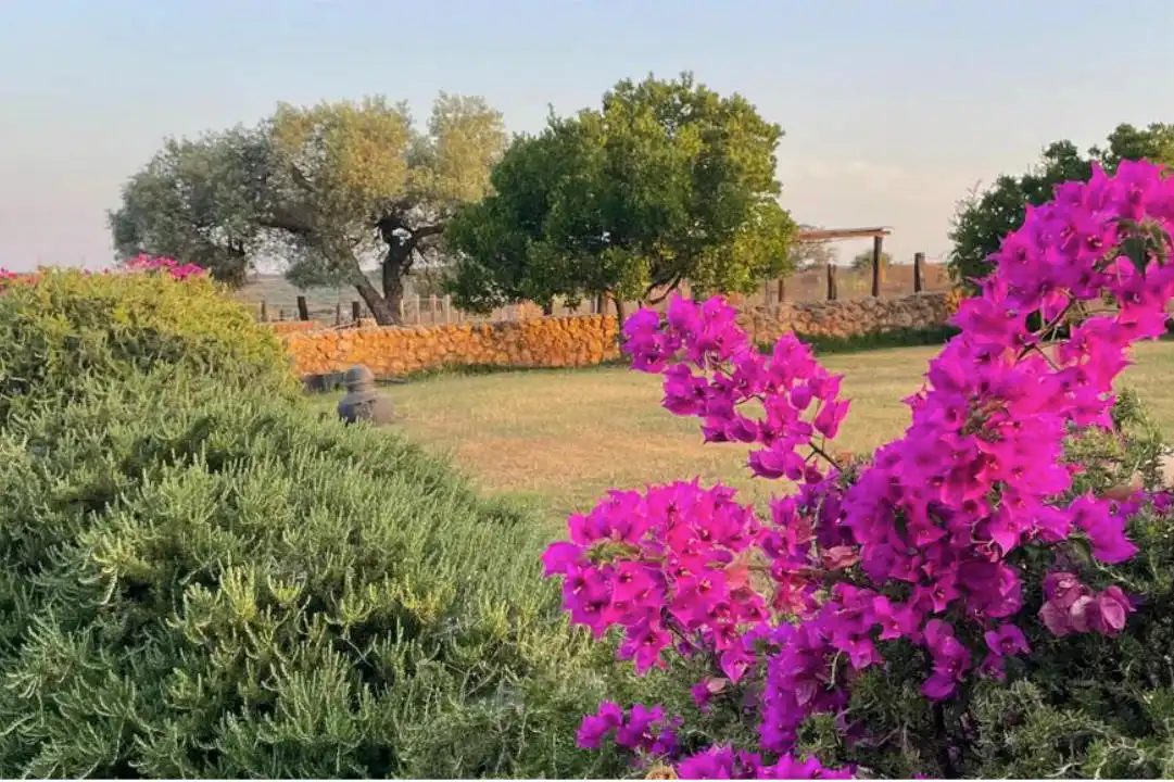 Terreno en venta en La Calzada - La Florida